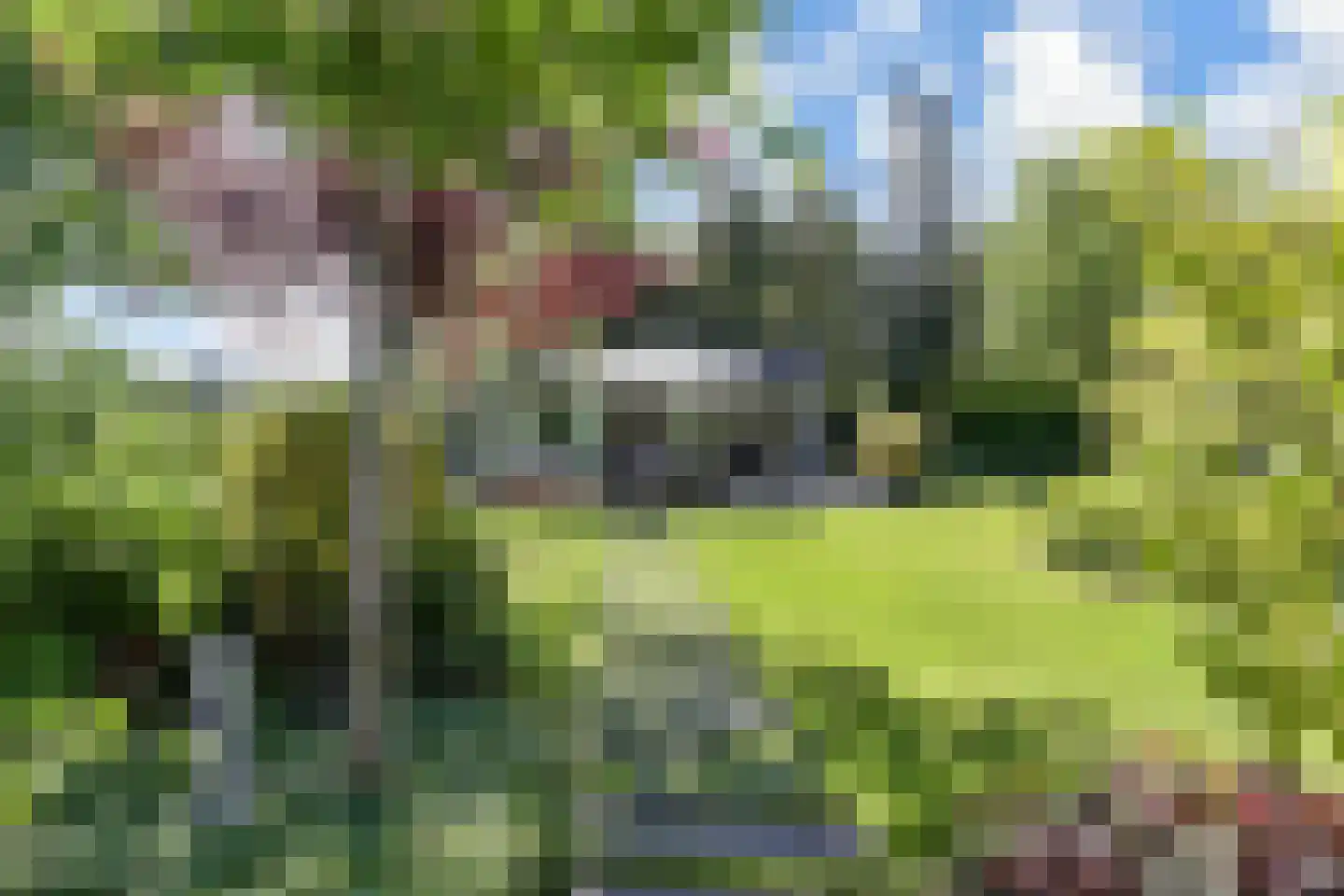 Tedingeroord 43 Den Haag thumbnail 69