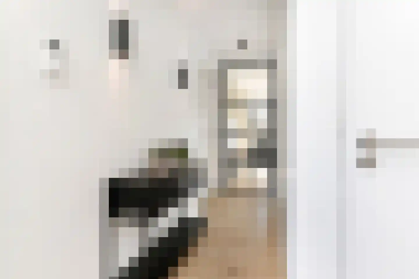Tedingeroord 43 Den Haag thumbnail 9