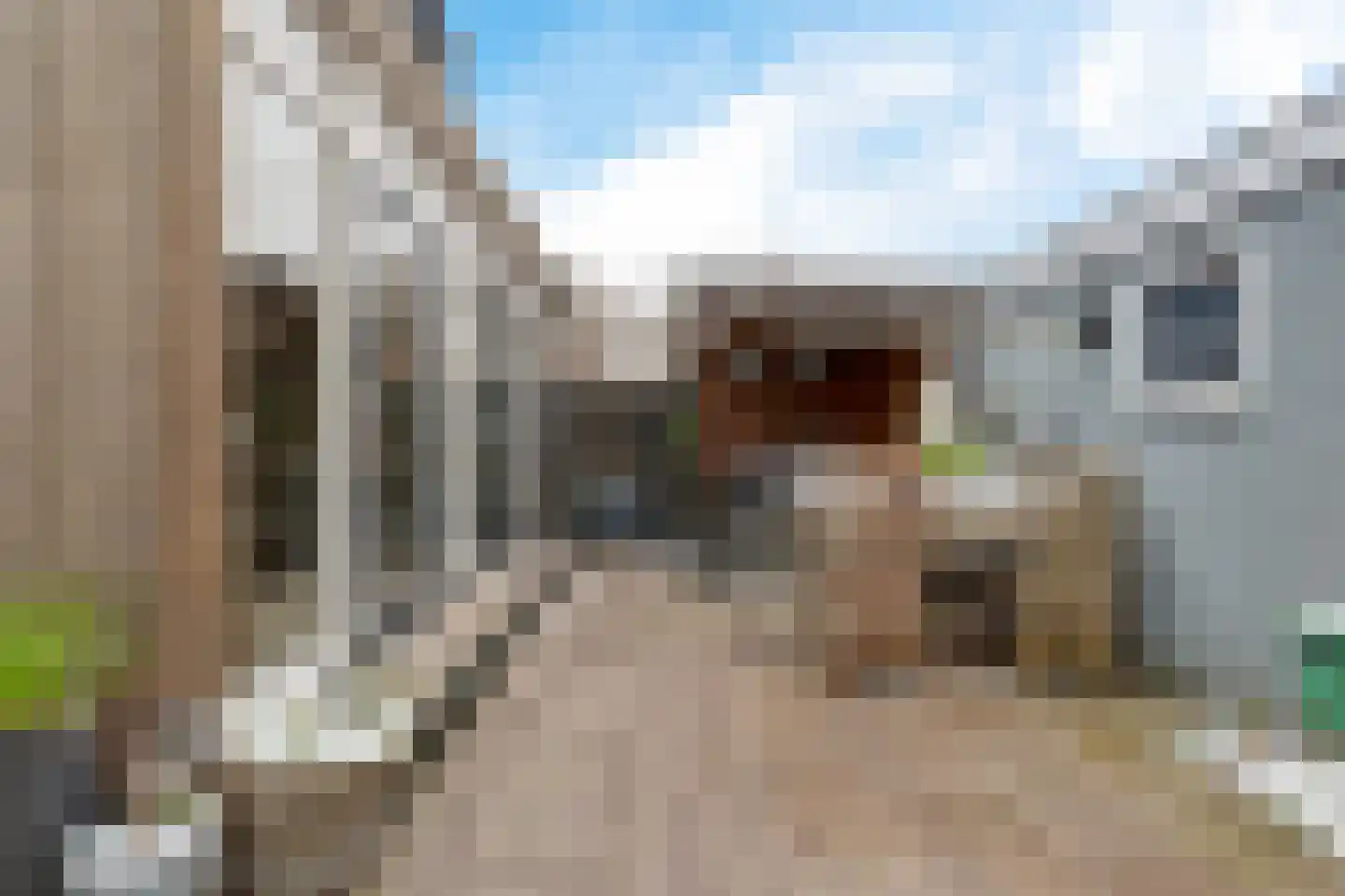Tedingh van Berkhoutplantsoen 1 Monnickendam thumbnail 24
