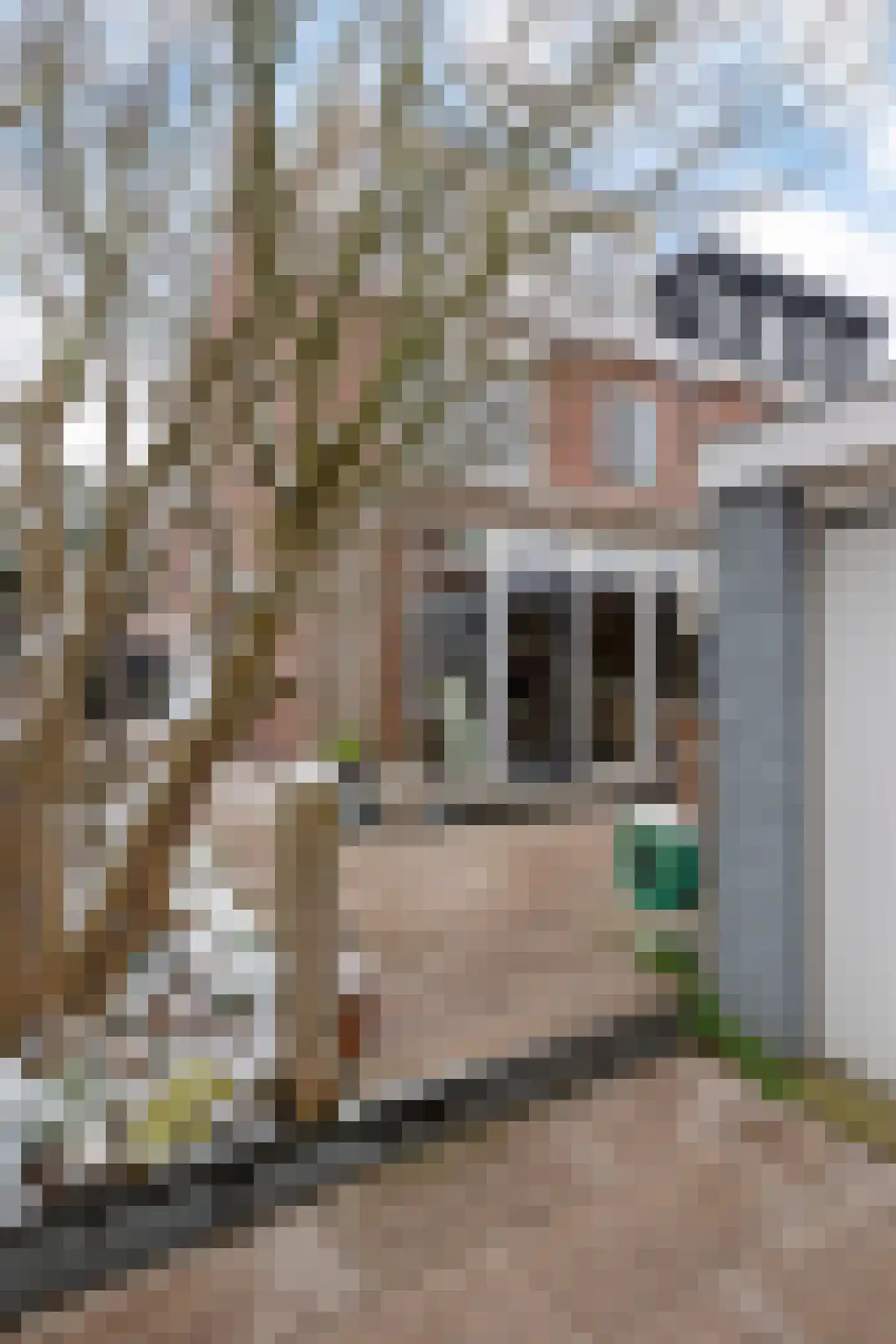 Tedingh van Berkhoutplantsoen 1 Monnickendam thumbnail 29