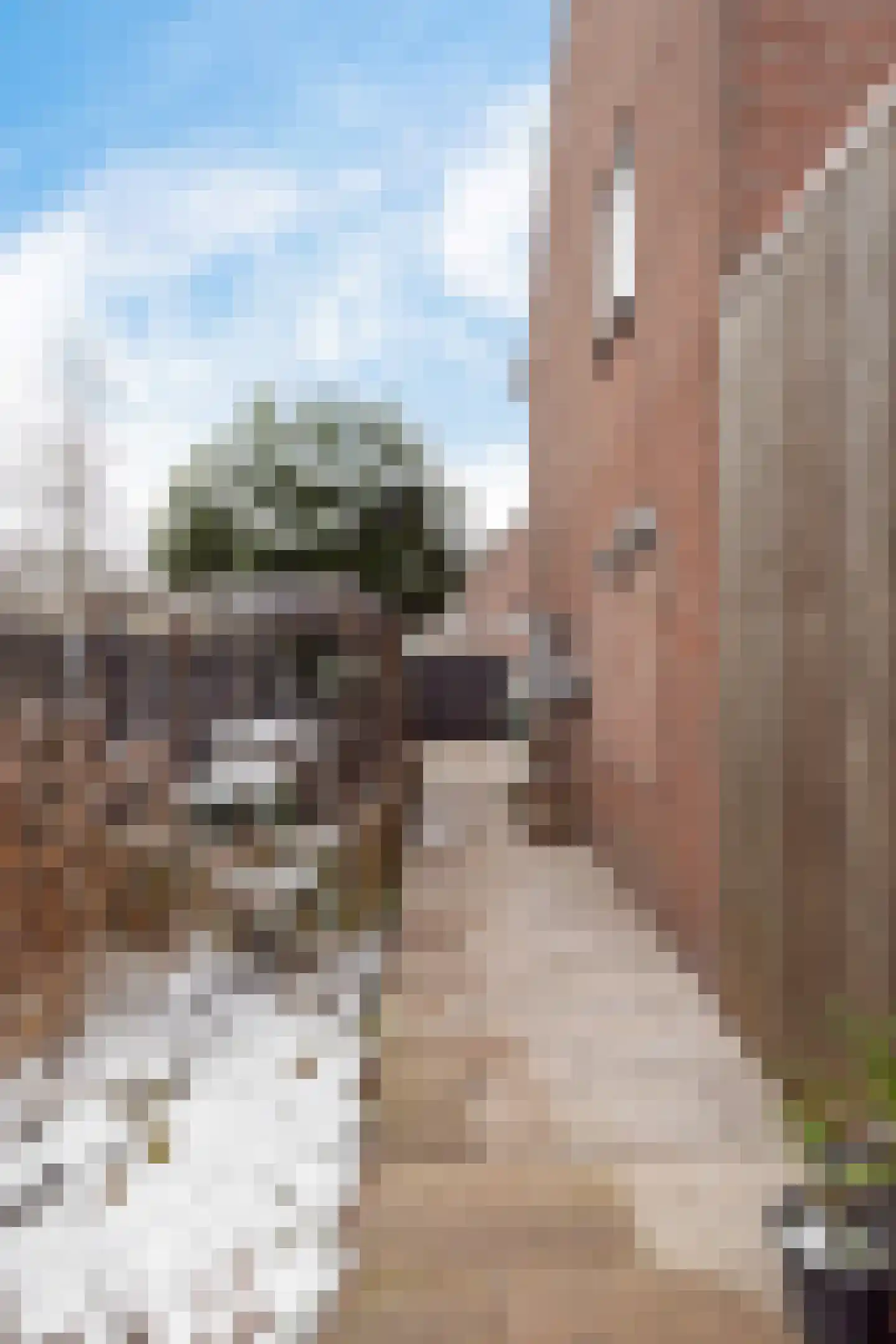 Tedingh van Berkhoutplantsoen 1 Monnickendam thumbnail 30