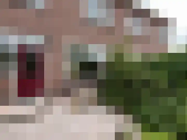 Tedingh van Berkhoutplantsoen 23 Monnickendam thumbnail 11