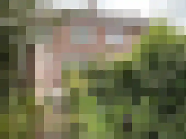 Tedingh van Berkhoutplantsoen 23 Monnickendam thumbnail 12