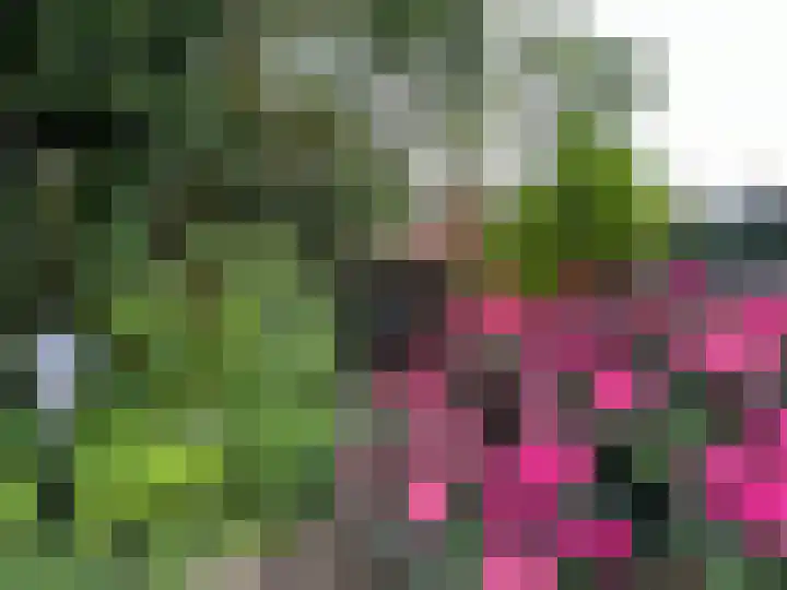 Tedingh van Berkhoutplantsoen 23 Monnickendam thumbnail 13
