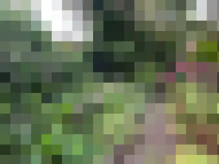Tedingh van Berkhoutplantsoen 23 Monnickendam thumbnail 14