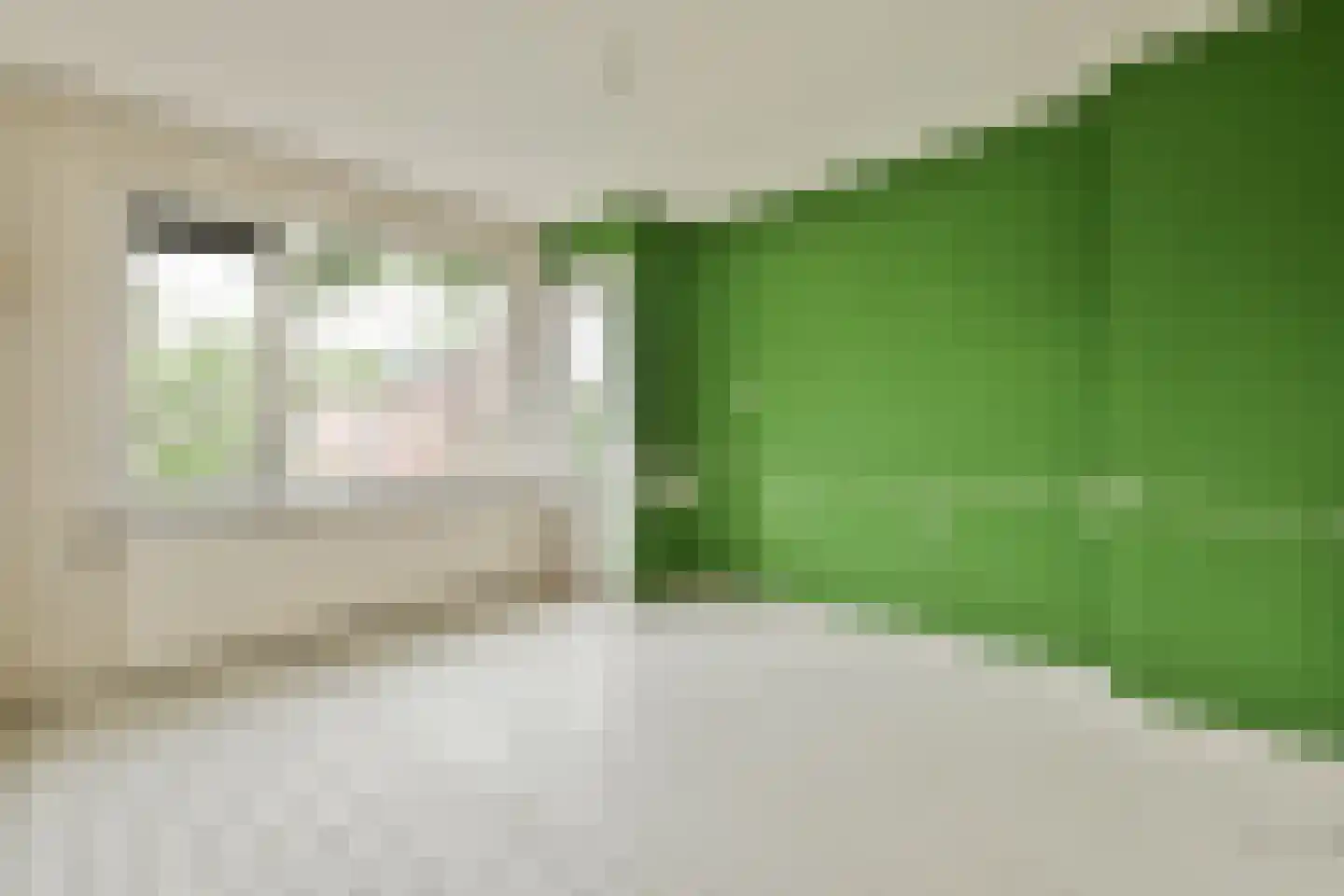 Tedingh van Berkhoutplantsoen 5 Monnickendam thumbnail 10