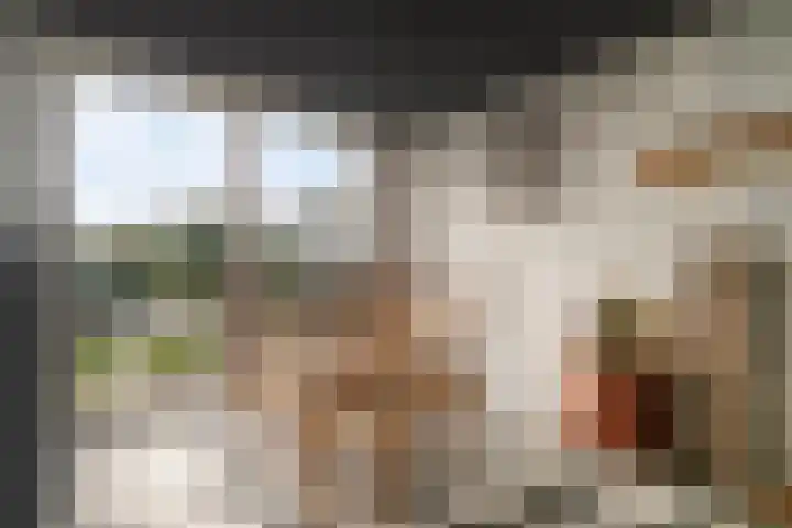 Tedingh van Berkhoutplantsoen 9 Monnickendam thumbnail 14