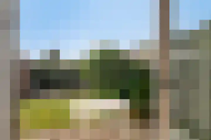 Tedingh van Berkhoutplantsoen 9 Monnickendam thumbnail 15