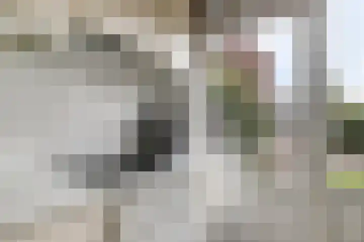 Tedingh van Berkhoutplantsoen 9 Monnickendam thumbnail 17