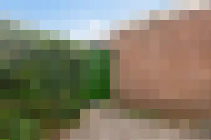 Tedingh van Berkhoutplantsoen 9 Monnickendam thumbnail 30