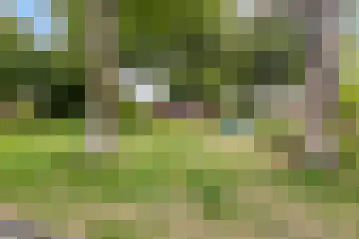 Tedingh van Berkhoutplantsoen 9 Monnickendam thumbnail 32