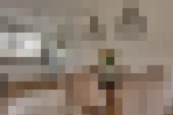 Tedinkweide 53 Borculo thumbnail 10