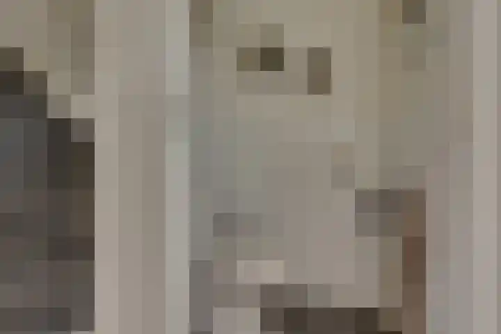 Tedinkweide 53 Borculo thumbnail 12