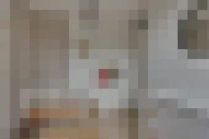 Tedinkweide 53 Borculo thumbnail 17