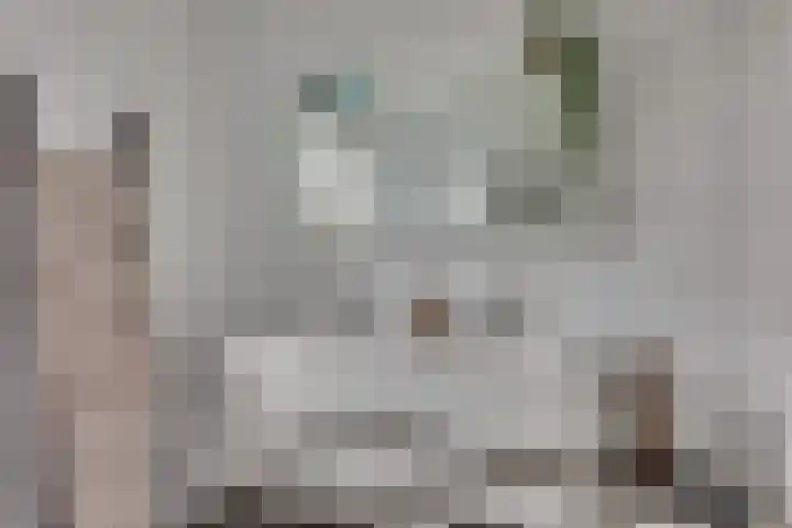Tedinkweide 53 Borculo thumbnail 19