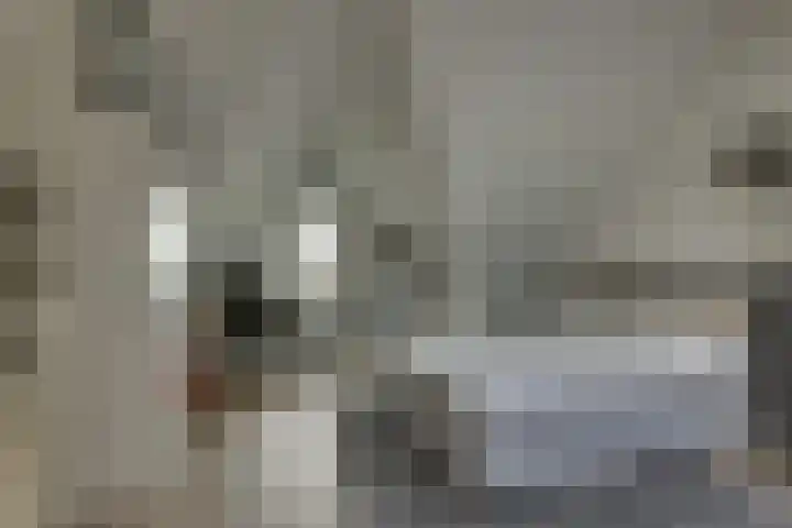 Tedinkweide 53 Borculo thumbnail 20