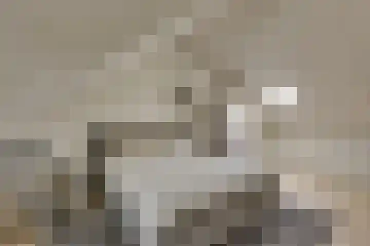 Tedinkweide 53 Borculo thumbnail 21