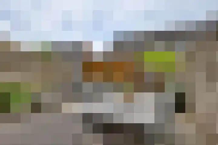 Tedinkweide 53 Borculo thumbnail 22