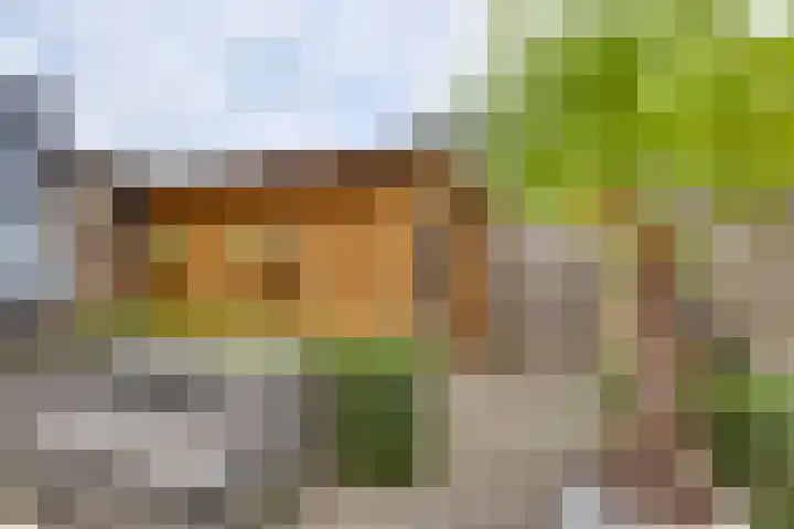 Tedinkweide 53 Borculo thumbnail 23