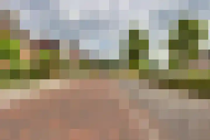 Tedinkweide 53 Borculo thumbnail 25
