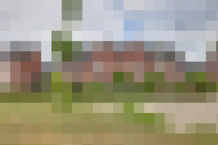 Tedinkweide 53 Borculo thumbnail 26