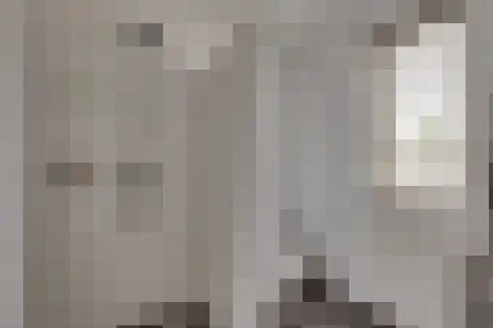 Tedinkweide 53 Borculo thumbnail 6