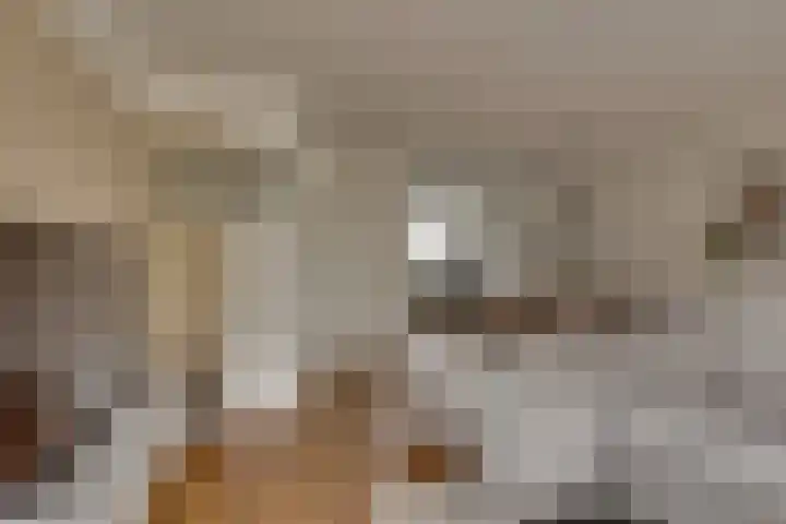 Tedinkweide 53 Borculo thumbnail 9
