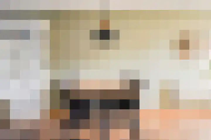 Tedinkweide 55 Borculo thumbnail 10