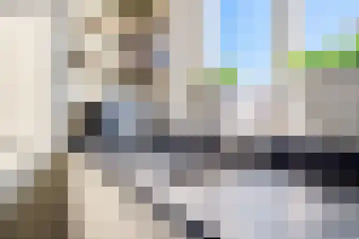 Tedinkweide 55 Borculo thumbnail 14