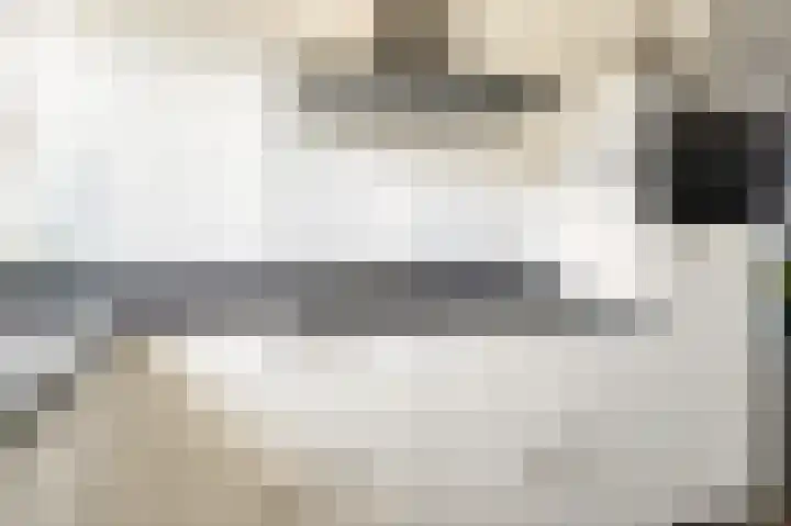 Tedinkweide 55 Borculo thumbnail 15