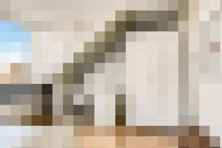 Tedinkweide 55 Borculo thumbnail 29