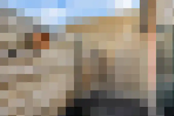Tedinkweide 55 Borculo thumbnail 37