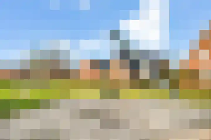 Tedinkweide 55 Borculo thumbnail 45