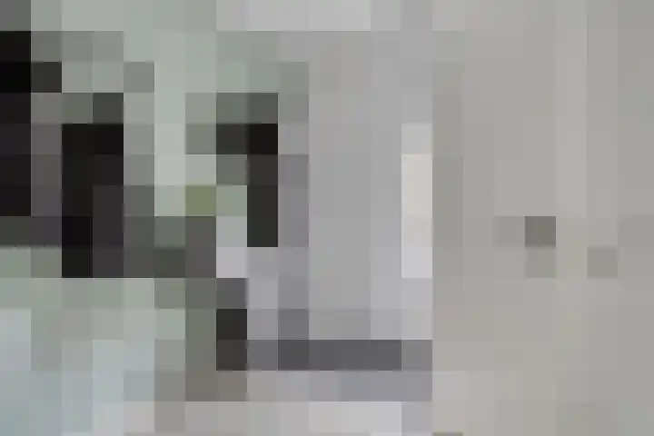 Teenhoek 8 Sommelsdijk thumbnail 10