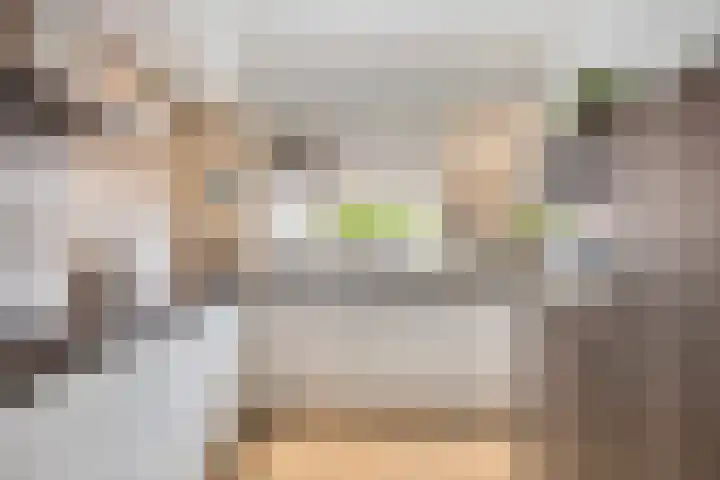 Teenhoek 8 Sommelsdijk thumbnail 14
