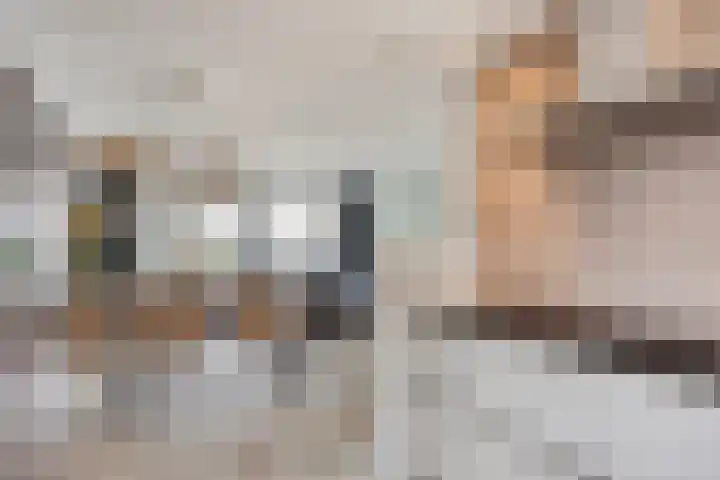 Teenhoek 8 Sommelsdijk thumbnail 15