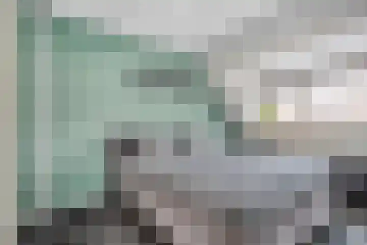 Teenhoek 8 Sommelsdijk thumbnail 17