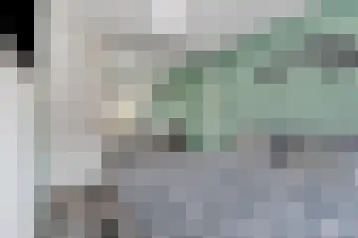 Teenhoek 8 Sommelsdijk thumbnail 18