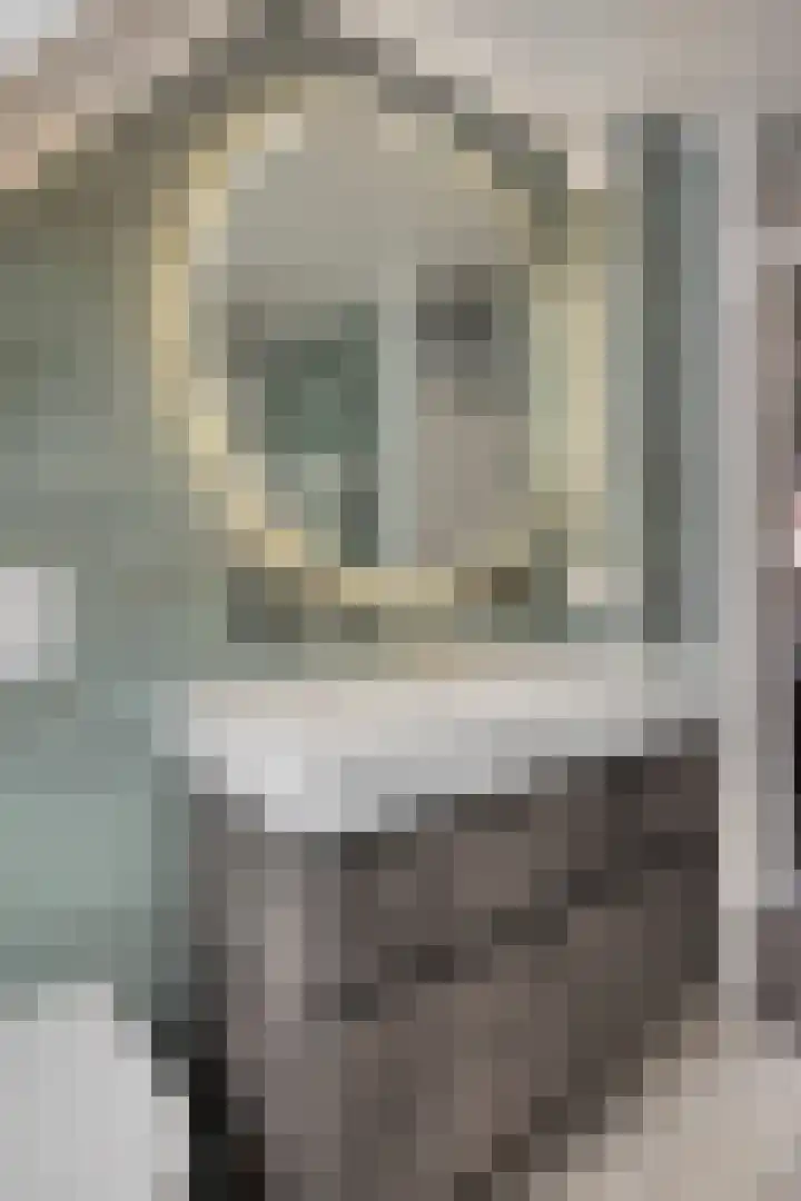 Teenhoek 8 Sommelsdijk thumbnail 20
