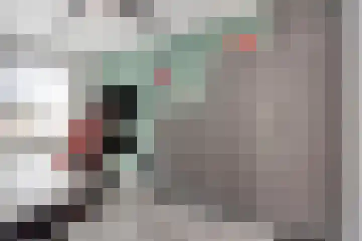 Teenhoek 8 Sommelsdijk thumbnail 23
