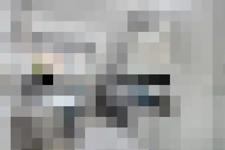 Teenhoek 8 Sommelsdijk thumbnail 24