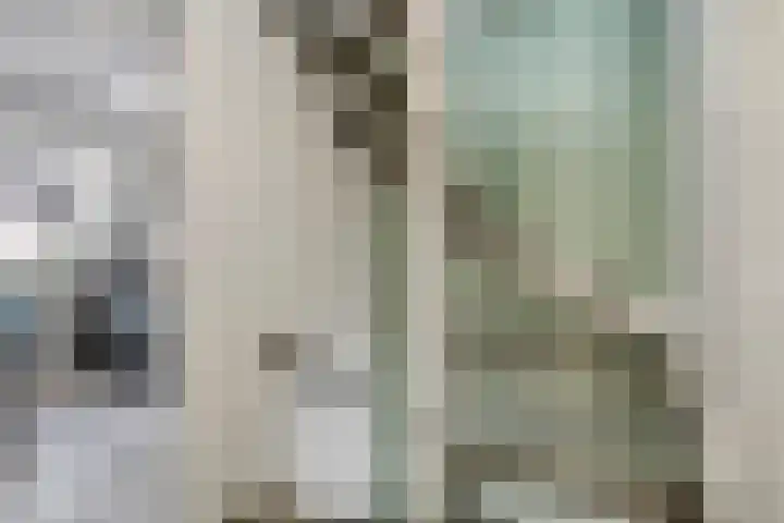 Teenhoek 8 Sommelsdijk thumbnail 25