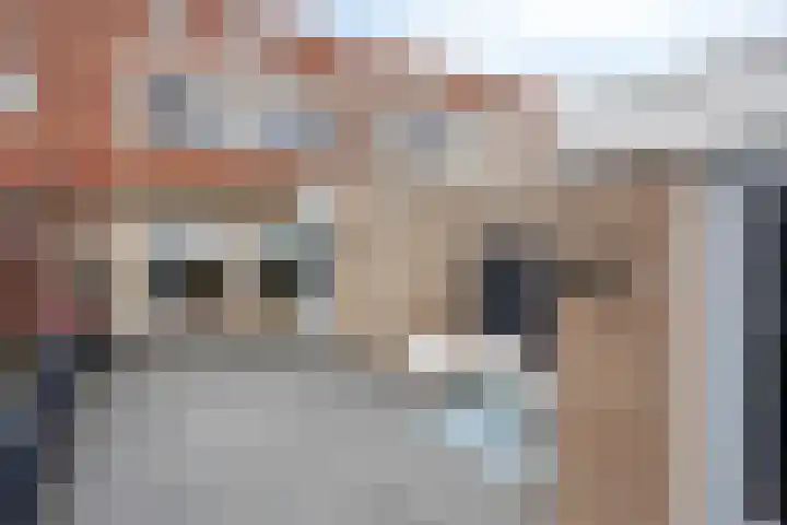 Teenhoek 8 Sommelsdijk thumbnail 31