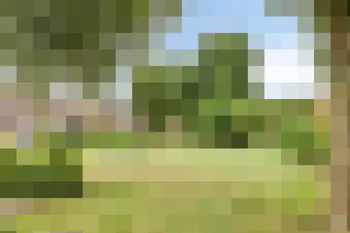 Teenhoek 8 Sommelsdijk thumbnail 33