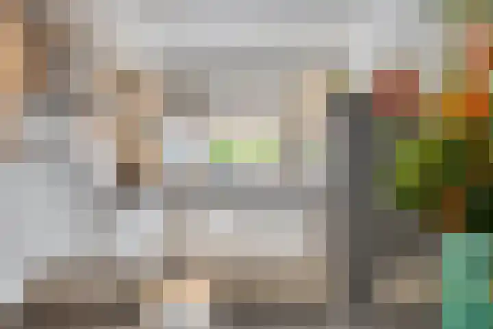 Teenhoek 8 Sommelsdijk thumbnail 4