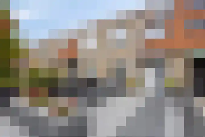 Teenhoek 8 Sommelsdijk thumbnail 5