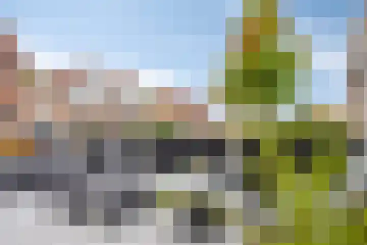 Teenhoek 8 Sommelsdijk thumbnail 7