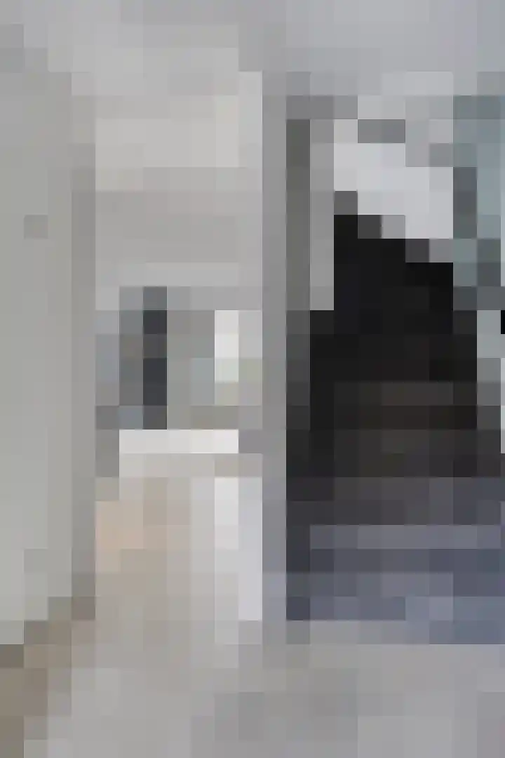 Teenhoek 8 Sommelsdijk thumbnail 8