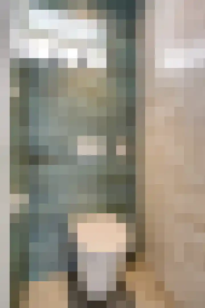Teenhoek 8 Sommelsdijk thumbnail 9