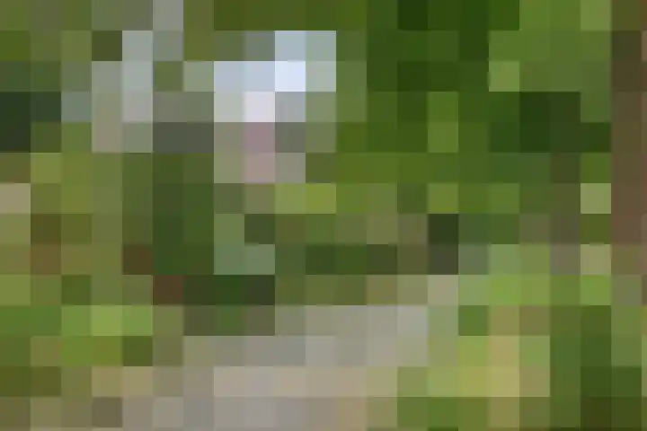 Teenschiller 2 Lopik thumbnail 19